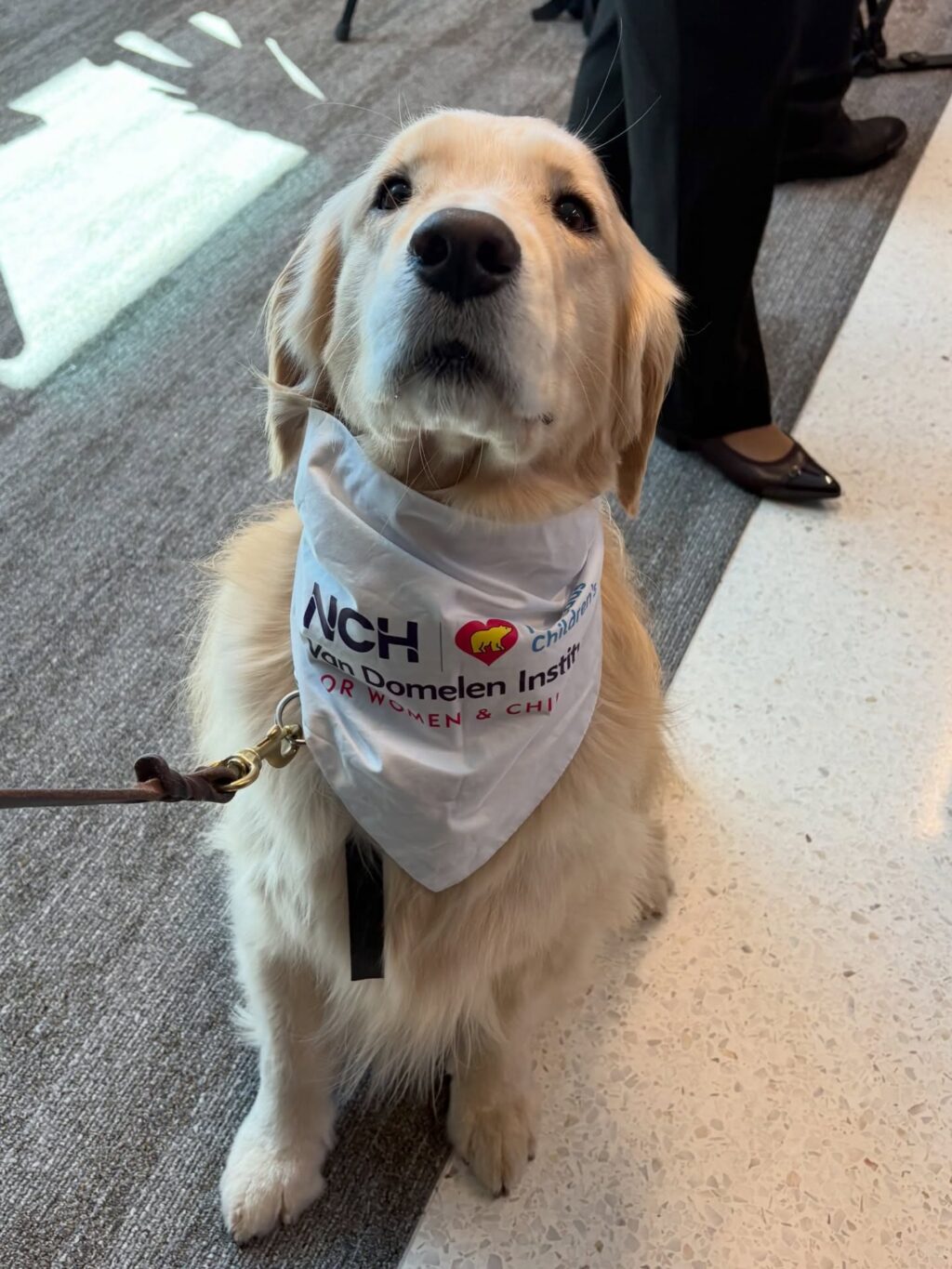 Instagram post from sewshore. This post is in position 0.