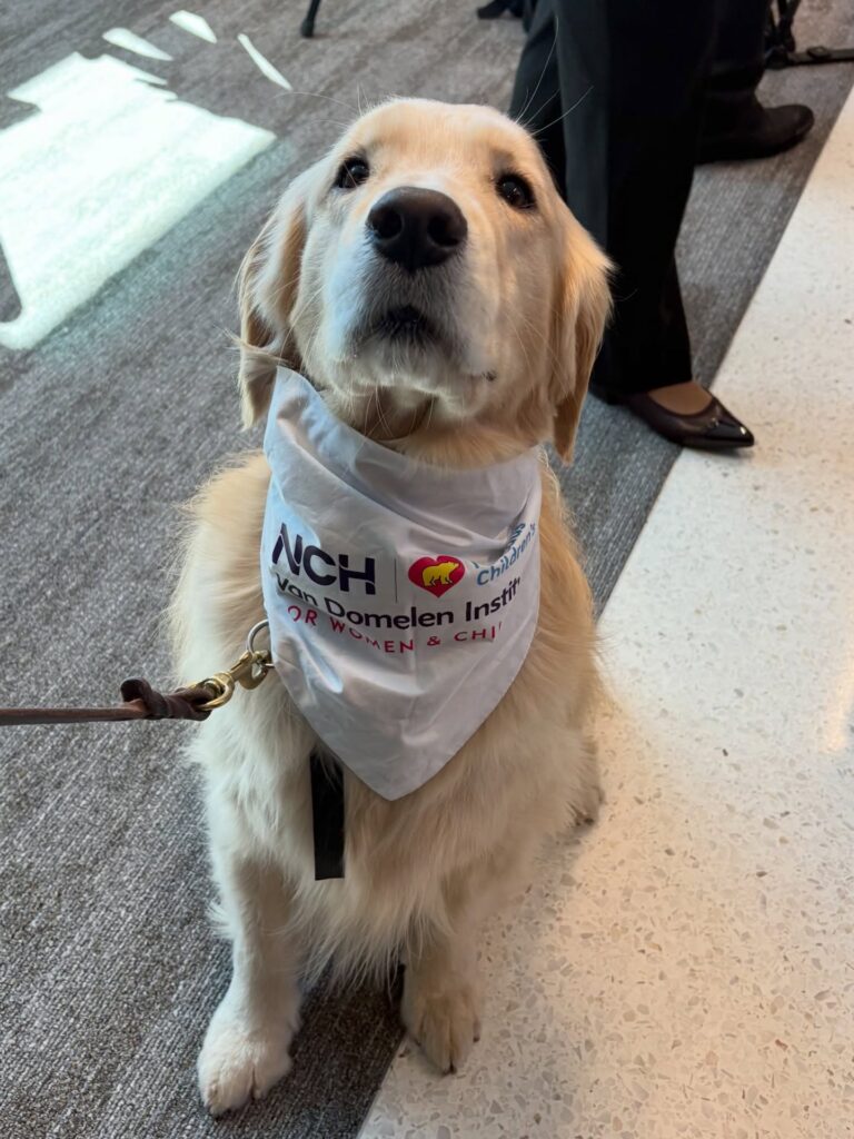 Instagram post from sewshore. This post is in position 1.